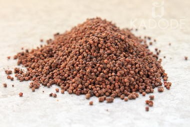 Long Pepper Red Pearls