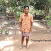 Hi Nat - Kampot pepper farmer