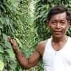 mot soum - kampot farmer 2