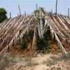 ma samot - kampot farm 2