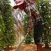 ma samot - kampot farmer 3